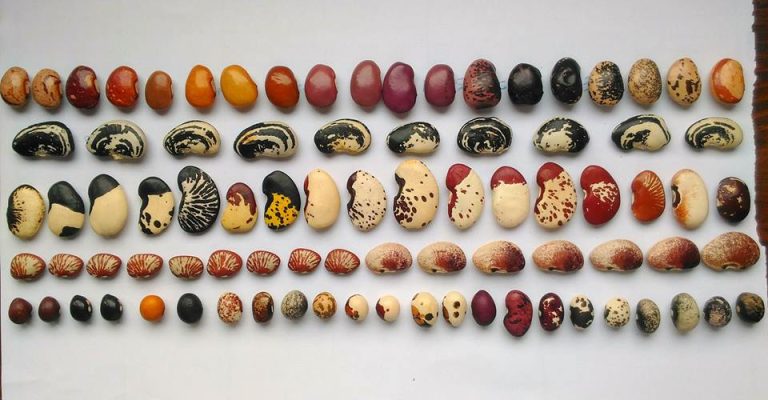 44902171_2126482854053227_1659071486201167872_n