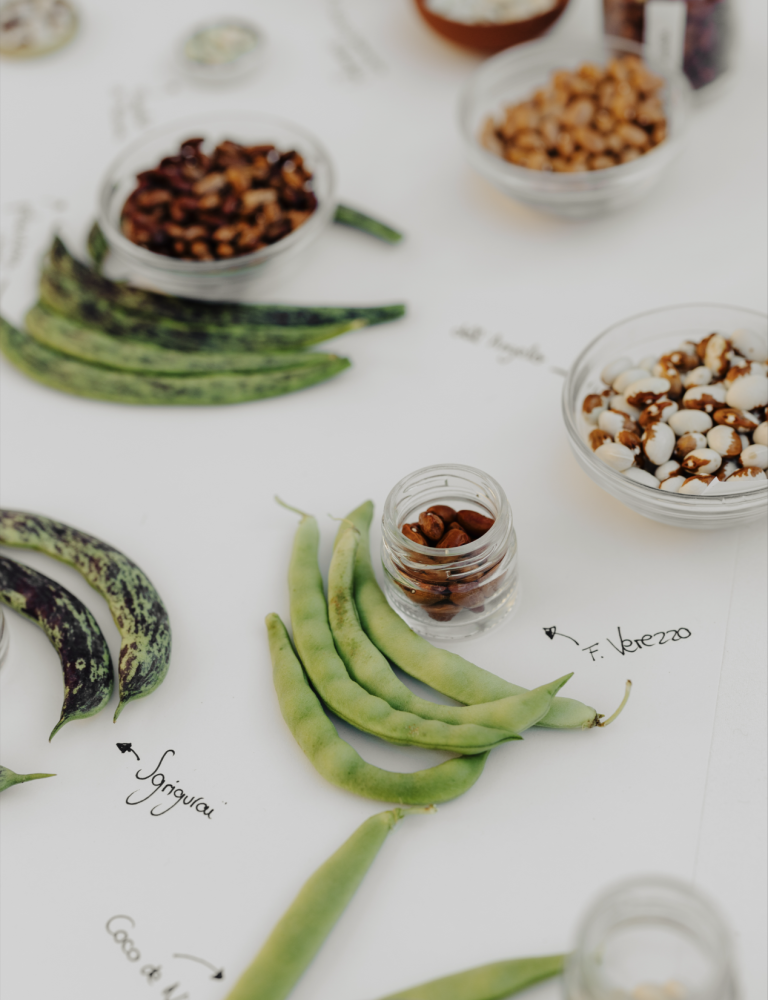 variété locales de haricots