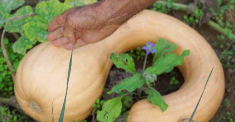 Capture d’écran 2018-12-19 à 16.20.57