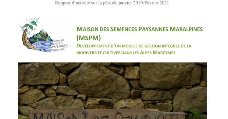 rapport activité